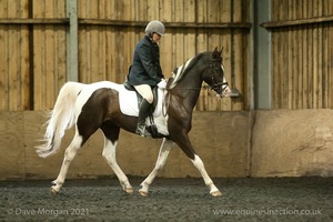 Isis Dressage Crown Farm Show 29th April 2012